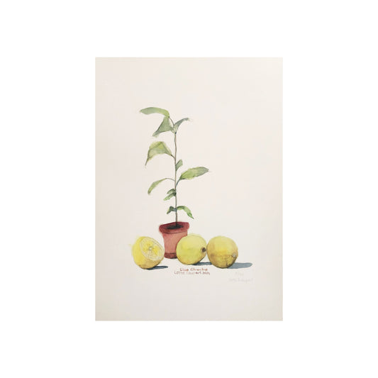Lotte Neupart. Kunstprint. Lille citrontræ. A3